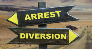 two arrow shaped signs on a post. one arrow pointing left says arrest. the other arrow pointing right says diversion